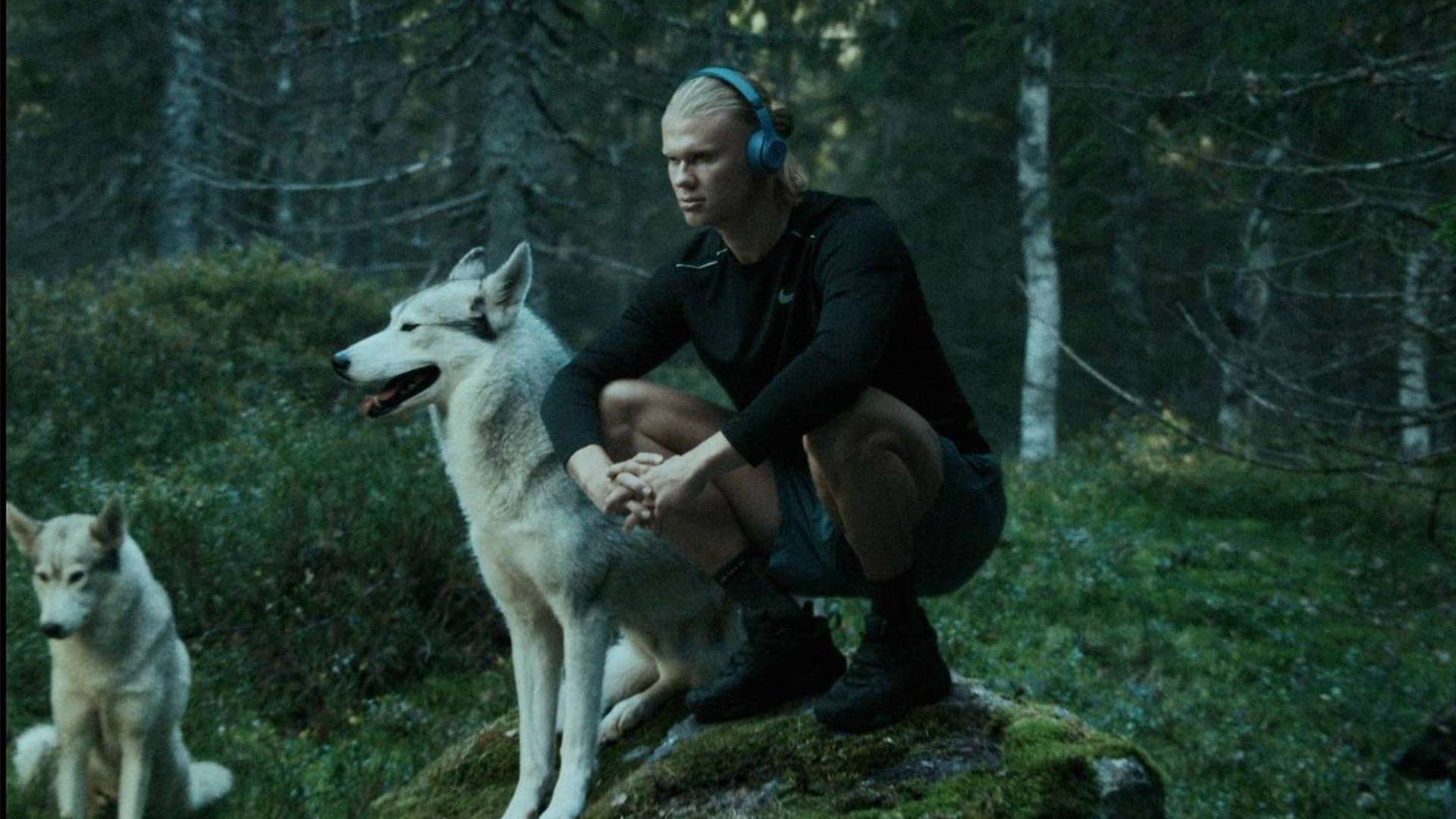 敌的案例凸 敌的案例凸